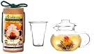 Primula Flowering Tea...