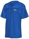 Men's Short Sleeve Fan Jersey T-Shirt-Team Colors Include Steelers, Cowboys, Patriots, Packers, Raiders, and Chiefs-Comfortable Gear for Football, Basketball, and Super Bowl Parties-Sizes XS-XXXL. (XX-Large, Royal)
