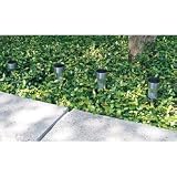 Stainless Steel Solar Garden Lights