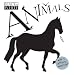Black and White: Animals