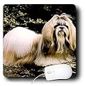 Dogs ShihTzu - Shih Tzu - Mouse Pads