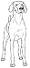 Dog Rubber Stamp - Vizsla - 1E