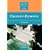 Classroom Dynamics (Resource Books for Teachers)