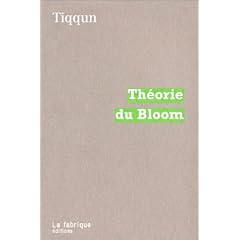 Th�orie du Bloom