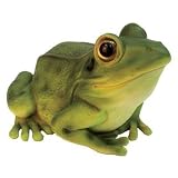 Michael Carr Designs 508002BG Green Frog Outdoor Statue