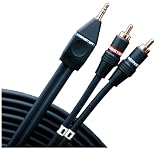 Monster Cable JM REPC M HP-10 Computer Stereo Audio to Stereo Receiver Using Minijack-to-RCA Connection (10 ft.)