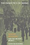 The Dialectics of Seeing: Walter Benjamin and the Arcades Project (Studies in Contemporary German Social Thought)