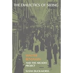 The Dialectics of Seeing: Walter Benjamin and the Arcades Project