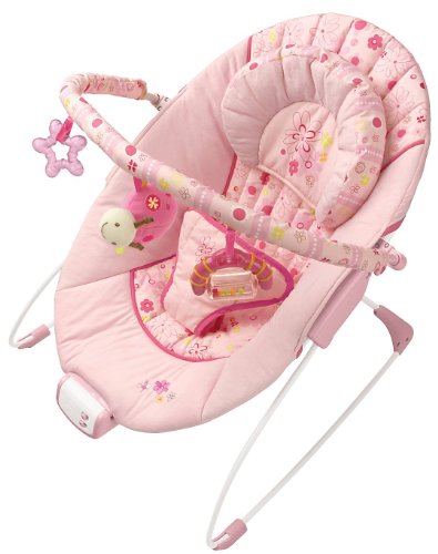 Buy Low Price Kids II Bright Starts Sugar Blossom Melodies Bouncer — pink B004X8NT08