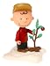 Charlie Brown Christmas Action Figure from Peanuts