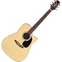 Takamine EG530SSC Acoustic-Electric Cutaway Guitar, Natural*