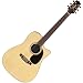 Takamine EG530SSC Acoustic-Electric Cutaway Guitar, Natural*