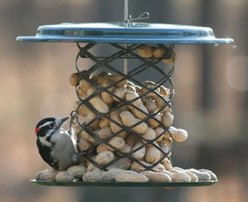 BirdsChoice Magnet Mesh Peanut Feeder