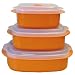 Kitchen & Housewares : Calypso Basics 3-Piece Microwave Steamer Set, Orange