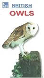 Review Dd Home Entertainment  / RSPB British Owls [1999]