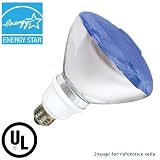 Compact Fluorescent 23w Blue Can Bulb