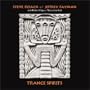 Trance Spirits