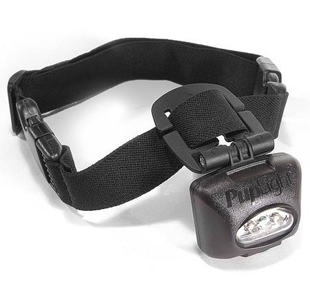 Childrens Toyshop  Pet Supplies : Lighted Dog Collar, Lights 200 Feet Forward, See Where You Step