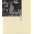 Lisette Model (Phaidon 55's)
