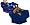 Kentucky Wildcats