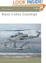 HueyCobra Gunships (New Vanguard)
