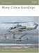 Huey Cobra Gunships 1965-2005