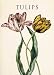 Book The Tulips Big Wall Calendar (Big Calendar)