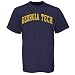 NCAA Georgia Tech Yellow Jackets Navy Blue Vertical Arch T-shirt