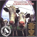 Not The Same Song And Dance - A Tribute To Aerosmith - Various