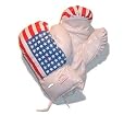 Children's Size 8 Oz Boxing Gloves USA Flag