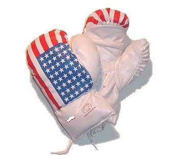 Childrens Kids USA Flag Design Boxing Gloves 8 Oz