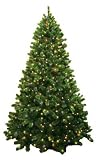 9 Ft Pre-lit Multi Colored Lights Full Long Point Permanent Fir Tree
