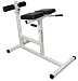 Sporting Goods : Deltech Fitness Hyper Extension Bench
