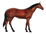 Revell X-Ray Horse Anatomy ModelsIMAGE