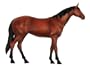 Revell  X-Ray 02099 - Pferd