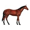 Revell X-Ray Horse Anatomy Models