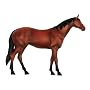 Revell  X-Ray 02099 - Pferd von Revell