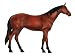 Revell X-Ray Horse Anatomy Models_s-1
