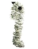 Big Daddy Money Boa Costume Accessory
