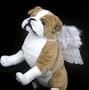FashionWings (TM) White Costume Feather Angel Wings for Pets: Dogs/Cats Photo Props/Cosplay.