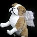 FashionWings (TM) White Costume Feather Angel Wings for Pets: Dogs/Cats Photo Props/Cosplay.
