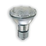 GE 14928 50 Watt Edison Halogen Floodlight PAR20 Light Bulb, 6-Pack