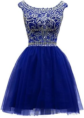 ALfany Women's Beaded Tulle Scoop Neckline A Line Mini Party Dresses US10
