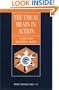 The Visual Brain in Action (Oxford Psychology Series , No 27)