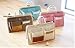 WSWS - NEW (Coffee) Purse Organizer / Purse Insert Organizer / Multi-use Pockets Travel Bag Organizer & 1 Dariya Magic Clip