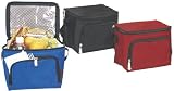 Ensign Peak Insulated Cooler Bag