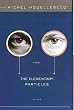 The Elementary Particles