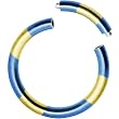 16 Gauge 3/8 Blue Yellow Anodized Titanium Segment Ring