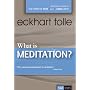 What is Meditation? (DVD)