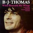 Wind Beneath My Wings